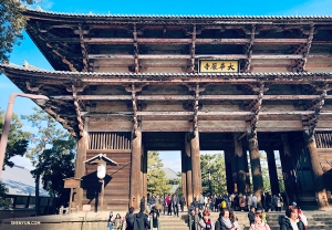 奈良に向かう男子たち。東大寺が最初の1枚。（撮影：ダンサー、スティーブ・フェン）
