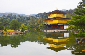 Goldener Pavillon an einem ruhigen, spiegelnden Teich. (Foto: Rui Suzuki)
