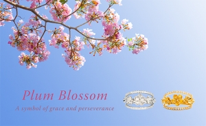 Shop Plum Blossom