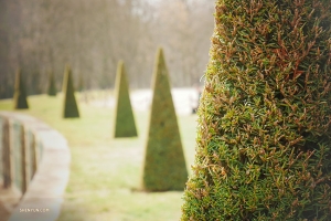 Wypielęgnowane ogrody w pałacu Sanssouci. (Tony Zhao)
