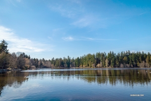 Następnie grupa udała się do Stanley Park w Vancouver by przespacerować się wzdłuż jeziora Lost Lagoon Lake. (Daniel Jiang)
