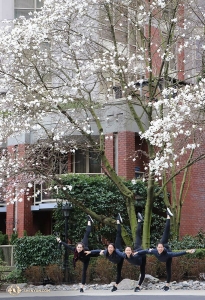 舞蹈演員Miranda Zhou-Galati、Cecilia Wang、Bella Fan和Jenny Song（從左到右）在花開芬芳的樹枝下輕展舞姿。（攝影：領舞演員吳凱迪）