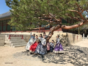 Wczuwają się w klimat pałacu Gyeongbokgung, gdzie otacza je tradycyjne piękno i elegancja.
