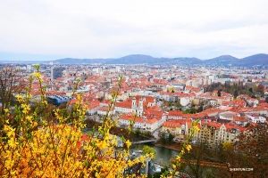 <p>Nous admirons la vue sur la vieille ville depuis le sommet du Schlossberg (
