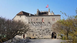 <p>Nous partons ensuite pour Zurich, en Suisse, pour une semaine remplie de représentations au Theater 11 Zurich. Avec un peu de temps devant nous, nous visitons le château de Habsbourg, une forteresse médiévale située près de Zurich. (Photo du contrebassiste Juraj Kukan) </p>
