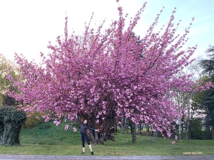 取道法國前往倫敦的途中，神韻紐約藝術團在一個法國超市停留 —— 這該是女孩們最喜歡的地方！ 舞蹈演員Nara Cho在附近一棵花開滿樹的「大花朵」前興奮地一展舞姿。（攝影：領舞演員王琛）
