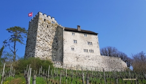 Forteca zbudowany około roku 1020 zmieniła się od tamtego czasu. Dzisiaj jest tam piękna winnica i restauracja