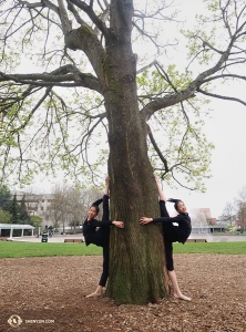 <p>Il y a de la place pour deux ! Les danseurs de laShen Yun International Company s'échauffent avant l'une des sept représentations à Seattle. </p>
