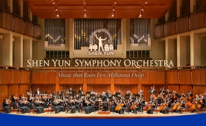 2019 Syso Header