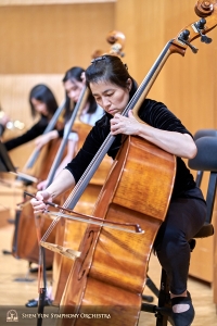 Bassists in formation.