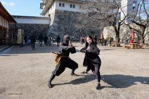 Klassisk kinesisk dans och kinesisk kampsport är som sen länge förlorade syskon, fråga bara solistdansaren Michelle Lian och denna ninja.