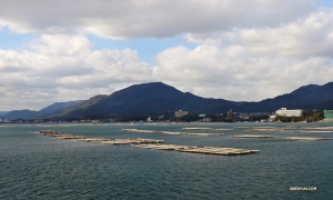 Performers pass an oyster farm during a boat ride to Miyajima Island (宮島). Time to eat!