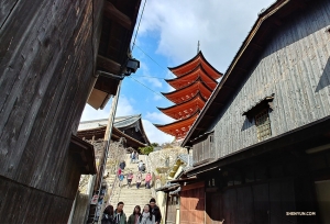 Ces escaliers mènent au pavillon Senjokaku et à une pagode à cinq étages (Gojunoto),   construite en 1407. 

(Photo du clarinettiste Yevgeniy Reznik)