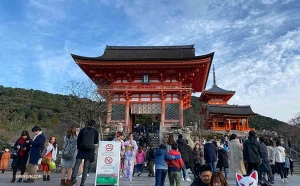 Het nieuwe jaar vraagt om feestelijke kleding en de lokale kimono's in Kyoto voldoen aan de eisen.

(Foto door Angelia Wang)