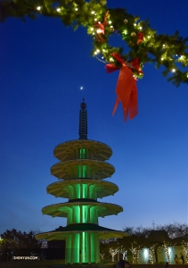 Na een middagvoorstelling op oudejaarsdag bekijken de artiesten Japantown in San Francisco.

(Foto door Johnny Chao)