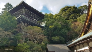 Sebuah pagoda yang megah menjulang di atas pepohonan di Pulau Itsukushima.