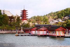 Pagoda lima tingkat Itsukushima yang ikonik, dilihat dari jauh.