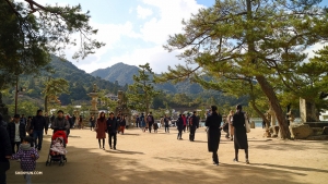 The island is bustling with people arriving via a boat from the mainland.