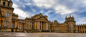 On a rainy day, they stop to explore Blenheim Palace, one of the largest homes in England.

(Photo by Tony Xue)