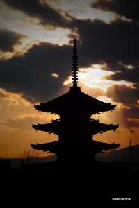 In Kyoto, Japan, fotografeert Shen Yun New York Company danser Tony Zhao bij zonsondergang de Toji-tempel.