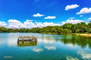 Il Parque Ibirapuera è molto simile a Central Park a New York in quanto offre un'oasi verde nel mezzo della città. (Foto di Tony Xue)