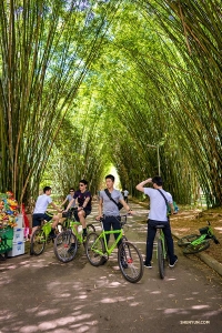 Penari membuat pit-stop di bawah beberapa pohon bambu Brasil. (Foto oleh Tony Xue)