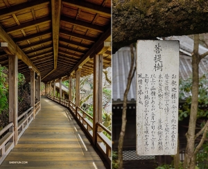 De volgende is de Eikan-do Zenrin-ji Tempel, genesteld op de oostelijke berg van Kyoto. (Foto door Felix Sun)