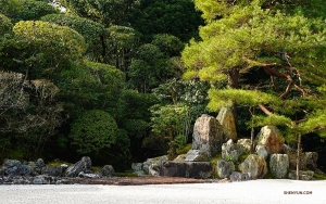 神韻紐約藝術團的演員們參觀了孔知院，這裡以風景如畫的花園而聞名。（攝影： Felix Sun)