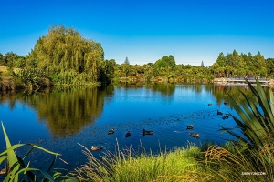 Denna frodiga botaniska trädgård har omvandlats från jordbruksmark. 

(Foto: Tony Xue)