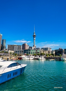 一些舞蹈演員漫步到奧克蘭頗受歡迎的皇后碼頭（Queens Wharf）欣賞風景。（攝影：薛心壇）