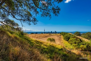 Die Stadt Auckland aus der Ferne, erkennbar an dem nadelförmigen Sky Tower am Horizont.