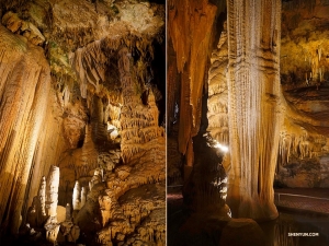 All formations (growing from the ceiling or ground) are calcite, which is a crystaline limestone.