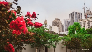 With some spare time to take a look around, performers brave a rainy Sydney day. (Photo by Monty Mou)