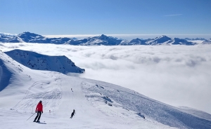 Pexels Michiel Skiing 650x400