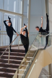 Et quand un danseur repère un endroit idéal, les autres le suivent très vite ! 