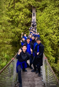 Die Lynn Canyon Suspension Bridge gilt als das bestgehütete Geheimnis des Lynn Valley und bietet ein aufregendes Erlebnis – sie wackelt bei jedem Schritt auf und ab!