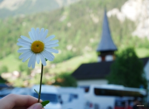 Addio Svizzera! Speriamo di vedervi l'anno prossimo!