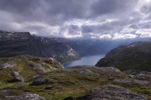 Die Schlagzeugerin Tiffany Yu begab sich auf eine abenteuerliche Reise zu den Lofoten in Norwegen.