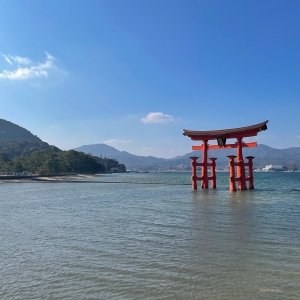 宮島の大鳥居。満ち潮の時は海に浮かんでいるように見える。