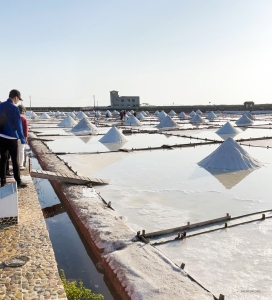 In un giorno libero, i ballerini della Shen Yun World Company visitano una salina a Tainan, Taiwan, scoprendo come il sale marino naturale viene essiccato e raccolto dall'acqua di mare