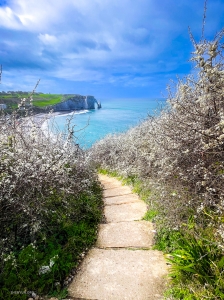 Situata sulla Costa d'Alabastro, Êtretat è un'incantevole cittadina francese famosa per le sue splendide scogliere bianche ed è uno dei siti turistici più popolari della Normandia.