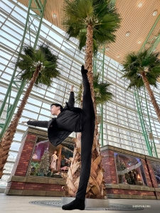 Aan de overkant van de Stille Oceaan poseert danser Justin Shi indrukwekkend en weerspiegelt hij de torenhoge sierlijkheid van palmbomen in het Schuster Performing Arts Center in Dayton Ohio. 