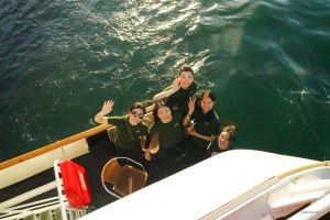 在悉尼港的波浪中巡航，音樂家們燦爛的笑容如陽光般閃耀在水面上。
