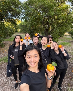 Outside the Younes and Soraya Nazarian Center for the Performing Arts in Northridge, California, a nearby orange orchard offers a sweet and sunny surprise.