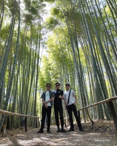 In Kyoto, dancers explore some of the city's 2,000-plus Buddhist temples and Shinto shrines, from a bamboo grove on the Kodai-ji Temple grounds... 